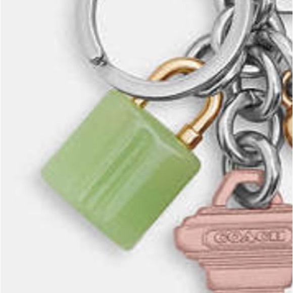 NWT Coach Key Cluster Bag Charm Keychain - Picture 3 of 8